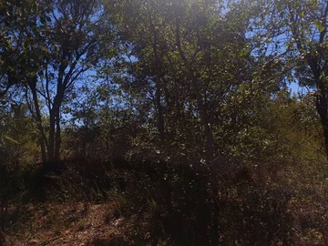 Farm & Agricultural Land