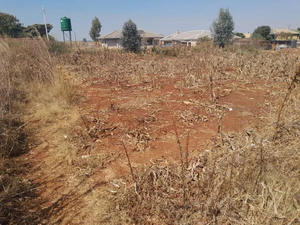 Stands & Residential Land