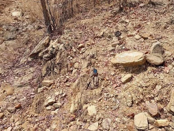 Commercial & Industrial Land