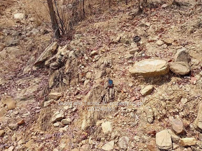 Makaha Gold Mine Opportunity