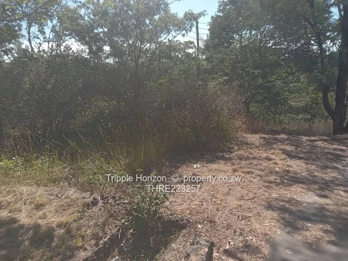 7,000 m² Treed Stand in Umwinsidale – Tarred Road in a built up secure area