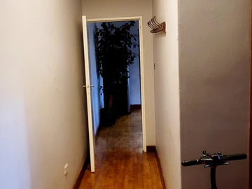 3 Bedroom Flat & Apartment