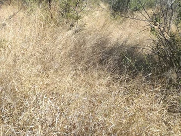 Farm & Agricultural Land