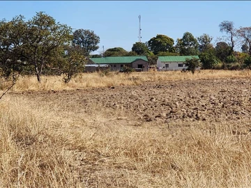 Farm & Agricultural Land