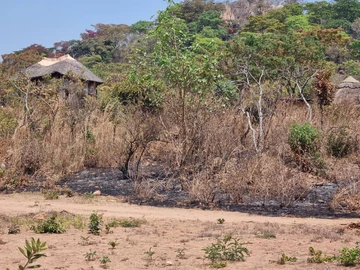 Farm & Agricultural Land