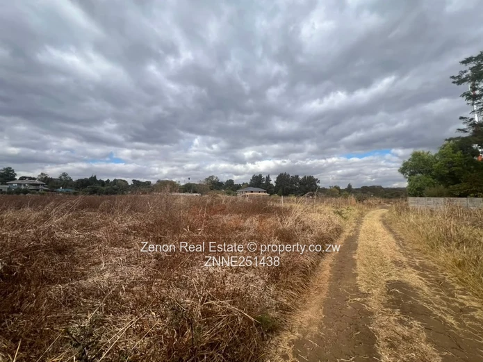 Bluffhill Stands For Sale. $150k