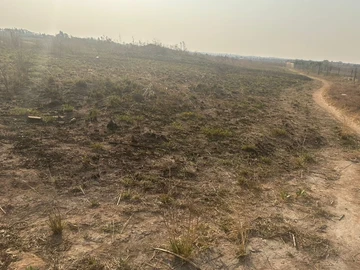 Farm & Agricultural Land