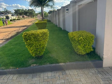 Student Accommodation