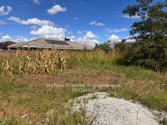 Cold Comfort Stand For Sale