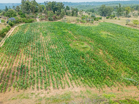 Farm & Agricultural Land