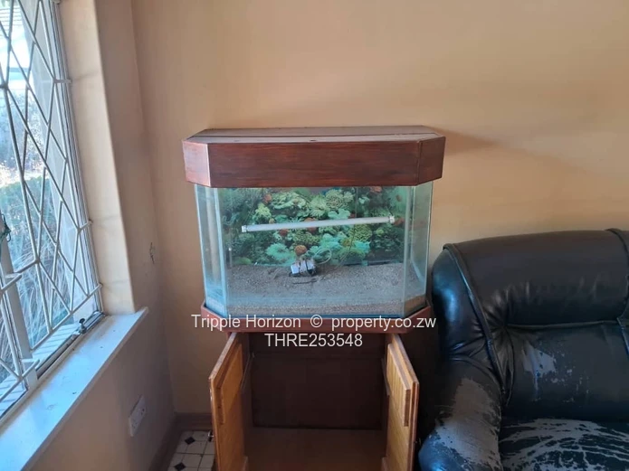Greencroft 3-Bed Family Home with Pool & Large Yard