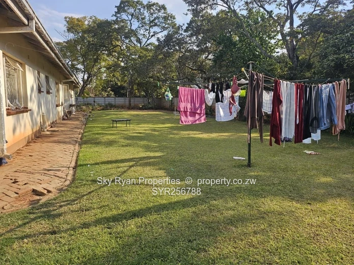 Residential Stand for Sale in Quinnington