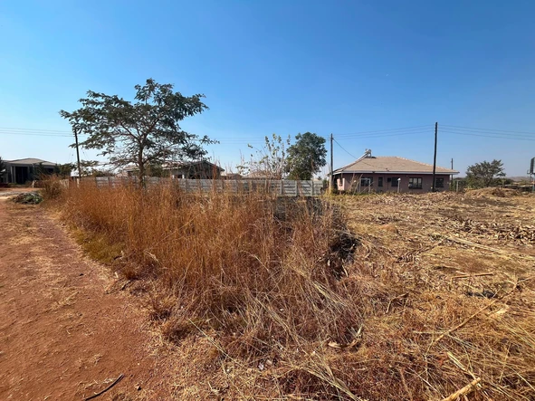 Stands & Residential Land