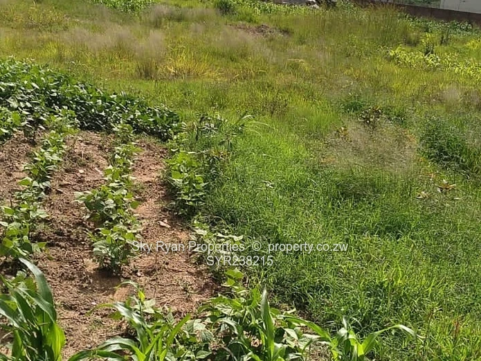 Beatrice Commercial Property For Sale