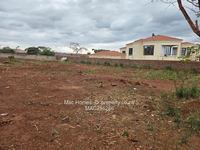 Ready to Build Stand for Sale