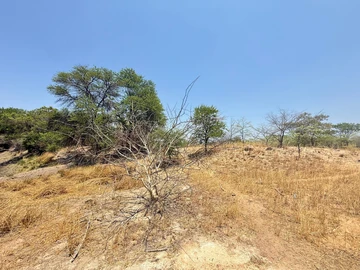 Farm & Agricultural Land