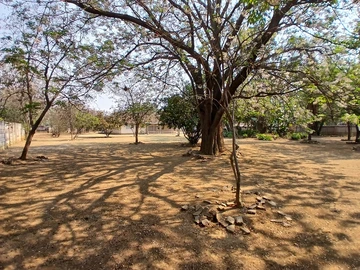 Commercial Property