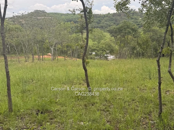 Vacant residential stand for sale in Umwinsidale 