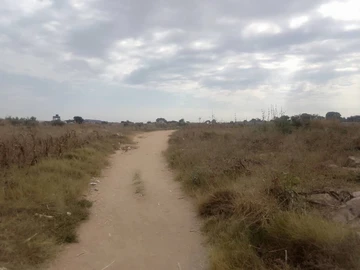 Commercial & Industrial Land