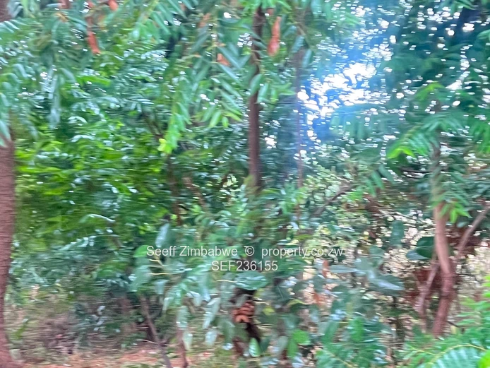 Land For Sale In Mandara