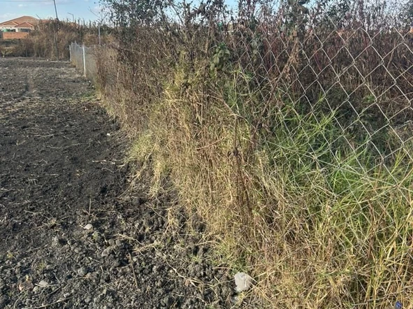 Land