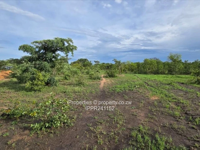 Choice of 3 Commercial Stands in Kadoma