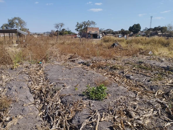 Commercial & Industrial Land