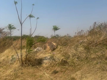 Commercial & Industrial Land