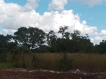 Commercial & Industrial Land