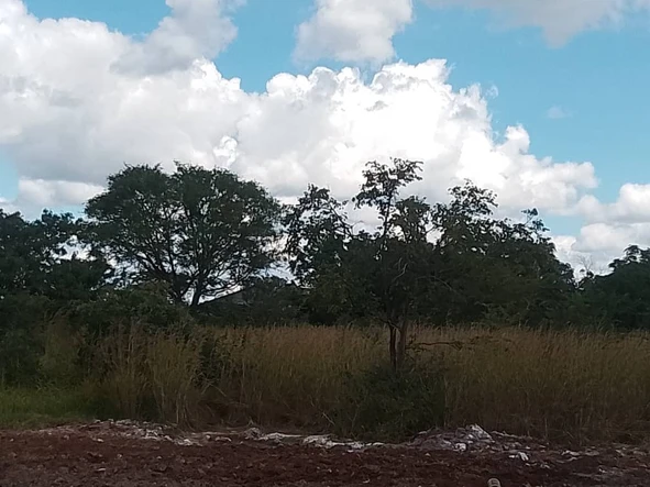 Commercial & Industrial Land