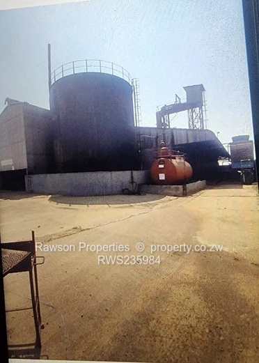 Investment Opportunity