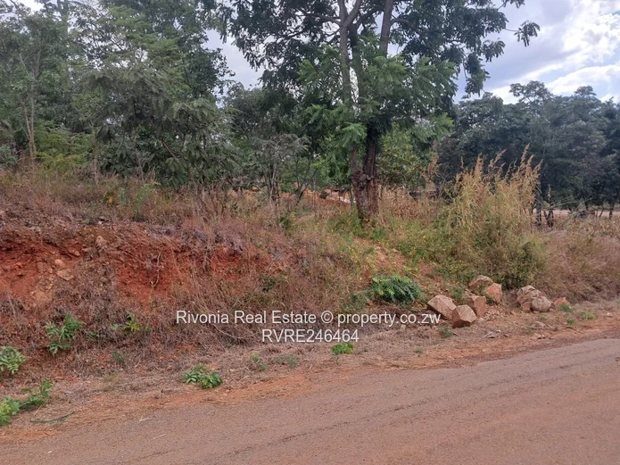 1800m² Secure Stand, Carrick Creagh — Road Frontage & Trees