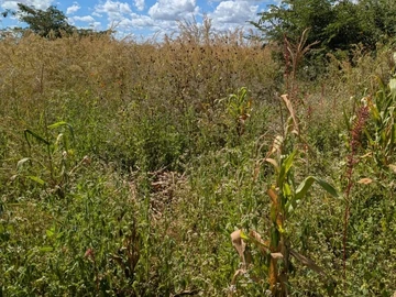 Commercial & Industrial Land