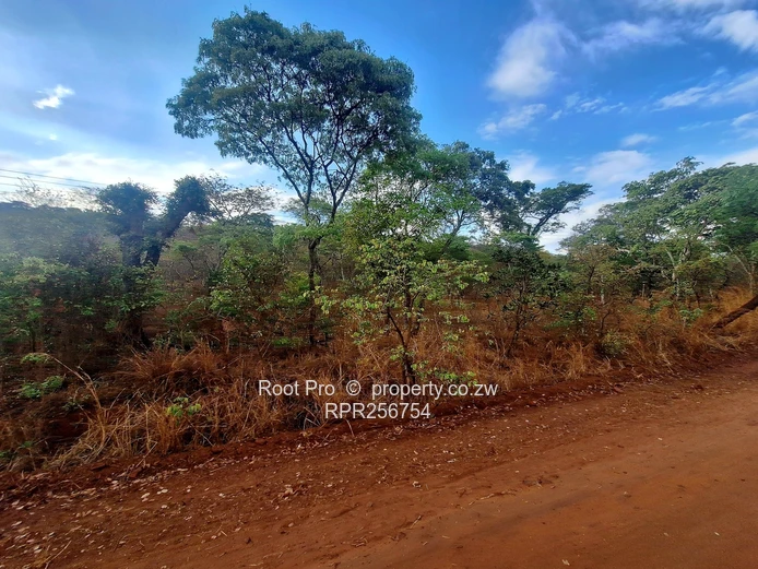 Well-treed Lake Chivero Stand (taking mortgage). . . (Sole Mandate)