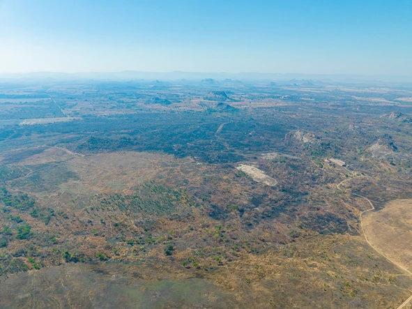 Farm & Agricultural Land