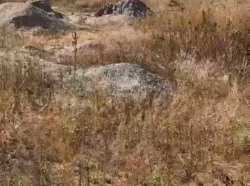 Prime 1280 m² Residential Land in Macheke