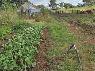 Farm & Agricultural Land