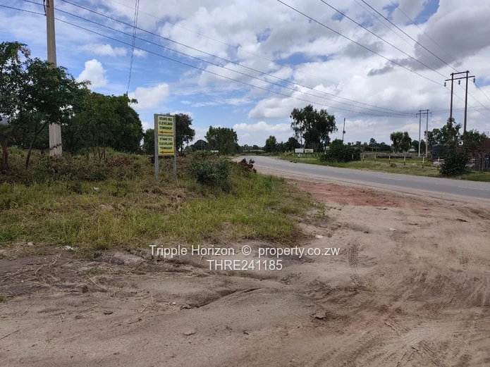 Msasa industrial stand