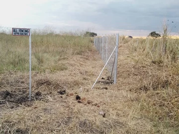 Stands & Residential Land