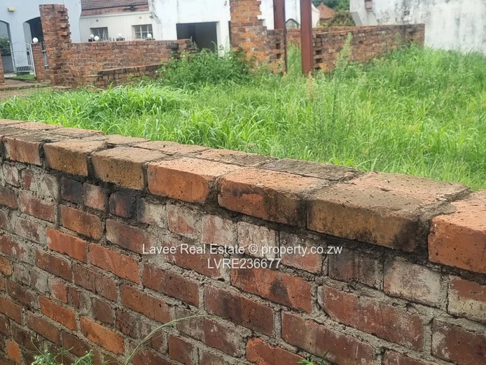 Blufhill Cluster luster stand at window level 