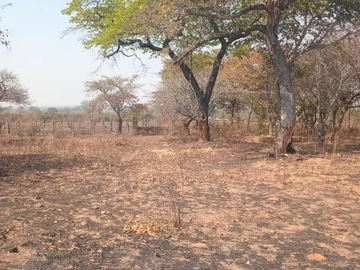 Farm & Agricultural Land