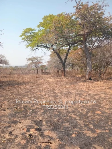 1,400 Hectares Cattle Ranch For Sale Gokwe
