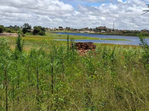 Farm & Agricultural Land