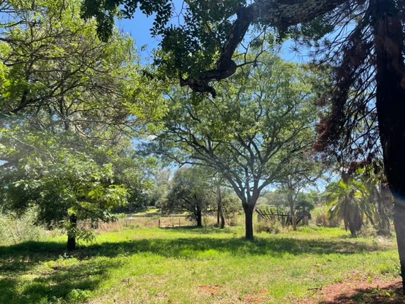 Farm & Agricultural Land