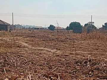 Stands & Residential Land