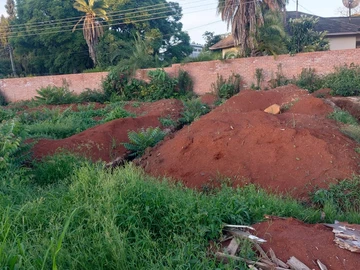 Stands & Residential Land