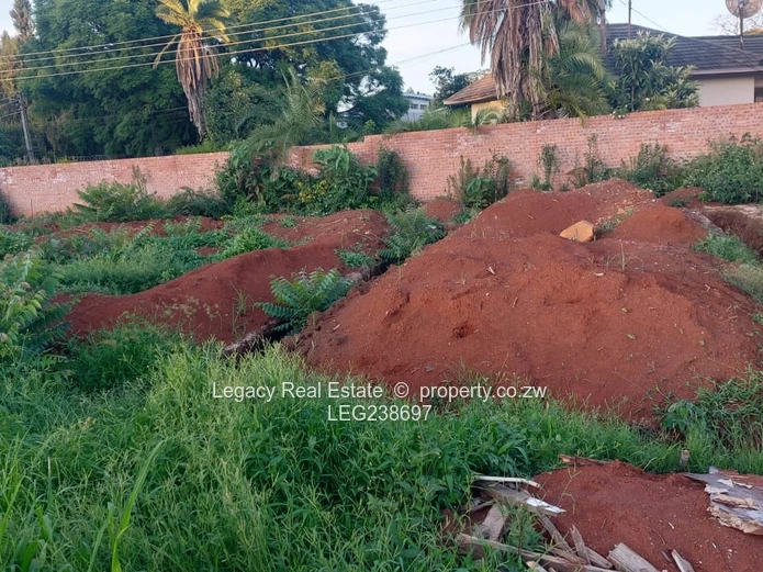 Premium Cluster Stand in Sought-After Highlands