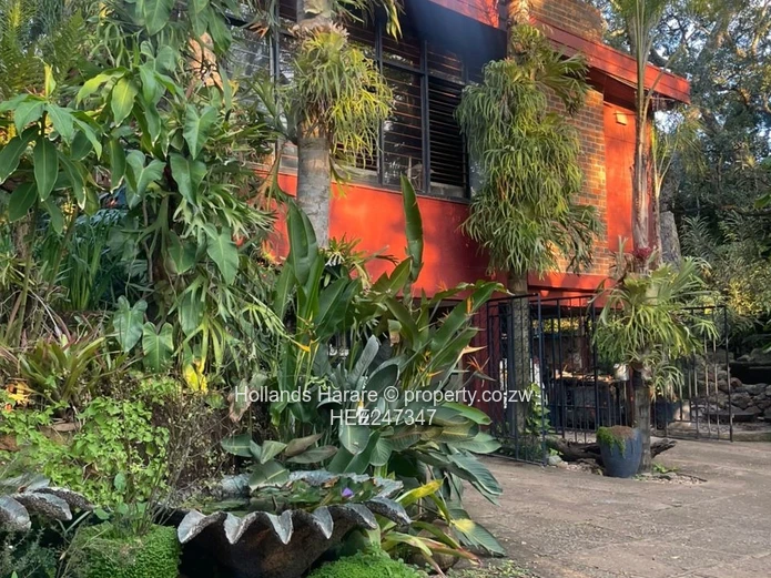 Incredible property in Glen Lorne