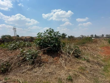 Stands & Residential Land