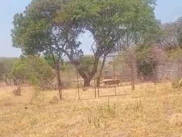 Farm & Agricultural Land